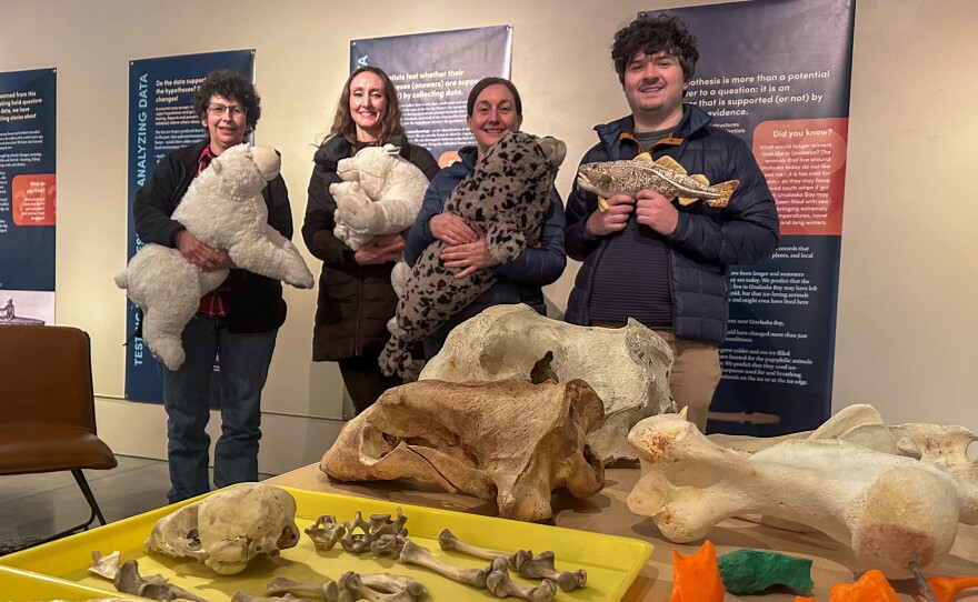 Lead scientist Catherine West, third from left, stands with fellow scientists Virginia Hatfield, left, Lillian Parker, second from left, and Trevor Lamb, right, in front of a table displaying animal bones and 3D models of bear bones used in their research for the exhibit.
