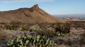 The Lone Mountain trail will cover three-miles of scrubby Chihuahuan Desert landscape.