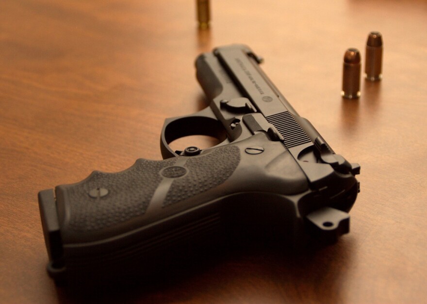 Gun Safety Panel To Be Held In Hillsborough County Wusf Public Media