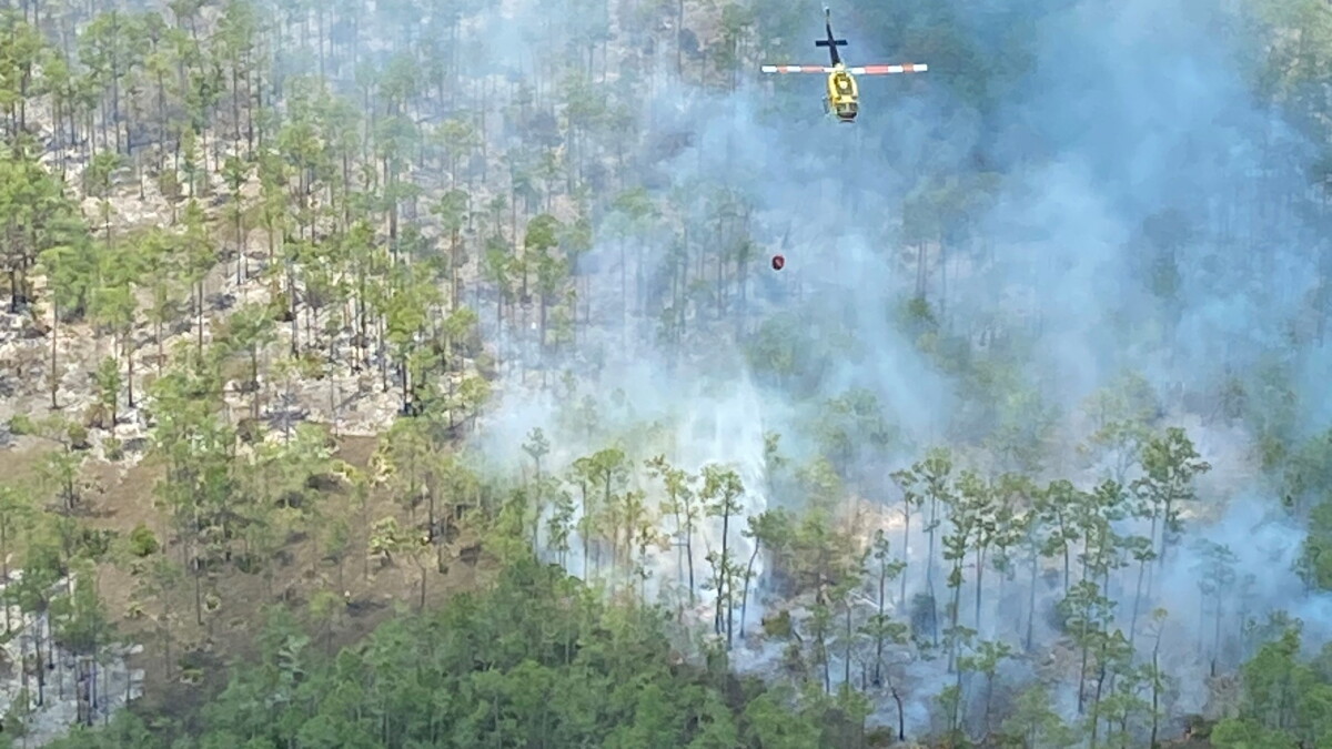 Uncontrolled Collier County fire grows to 8,400 acres - Vimarsana News