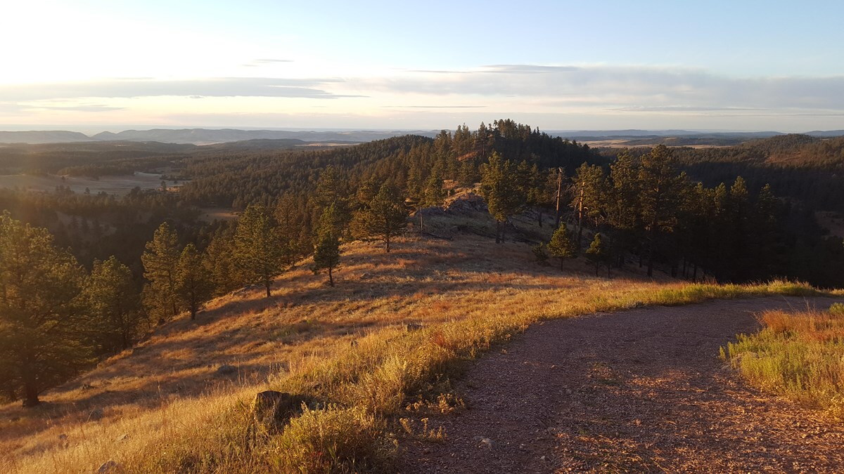 Wind Cave tours canceled due to elevator repairs - Vimarsana News