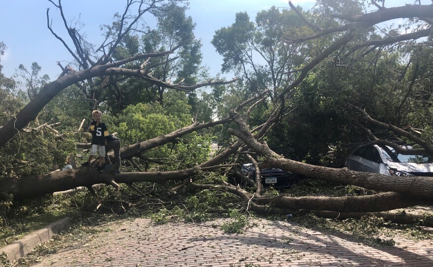 Children play on some of the downed trees near Redmond Park in Cedar Rapids.