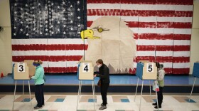 Voters cast their ballots under a giant mural at Robious Elementary school on Election Day, in Midlothian, Va., Tuesday Nov. 3, 2020. (Steve Helber/AP)