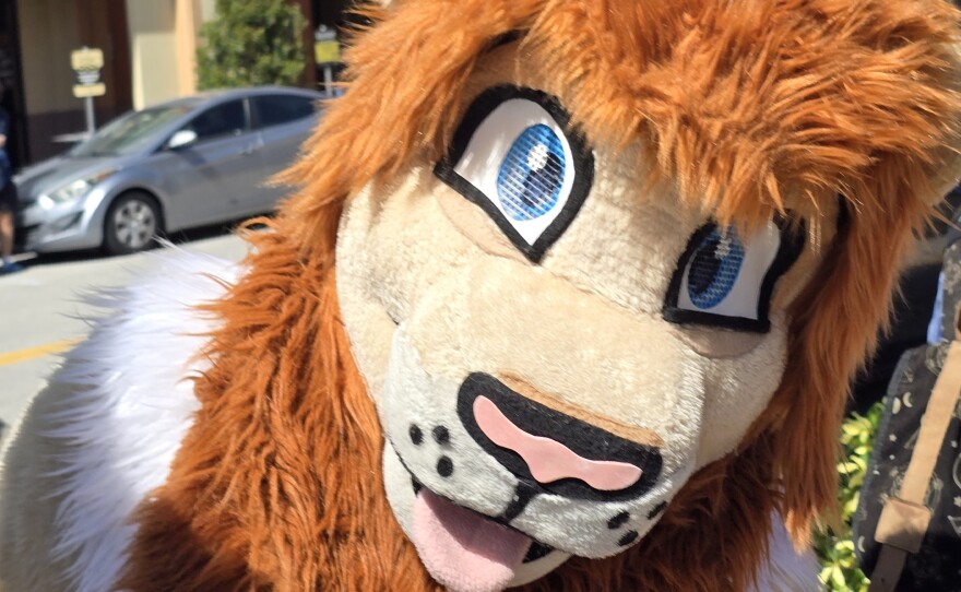 UCF Kitty staged the first ever Meowing Contest on the college's campus on Tuesday October 14, 2025.