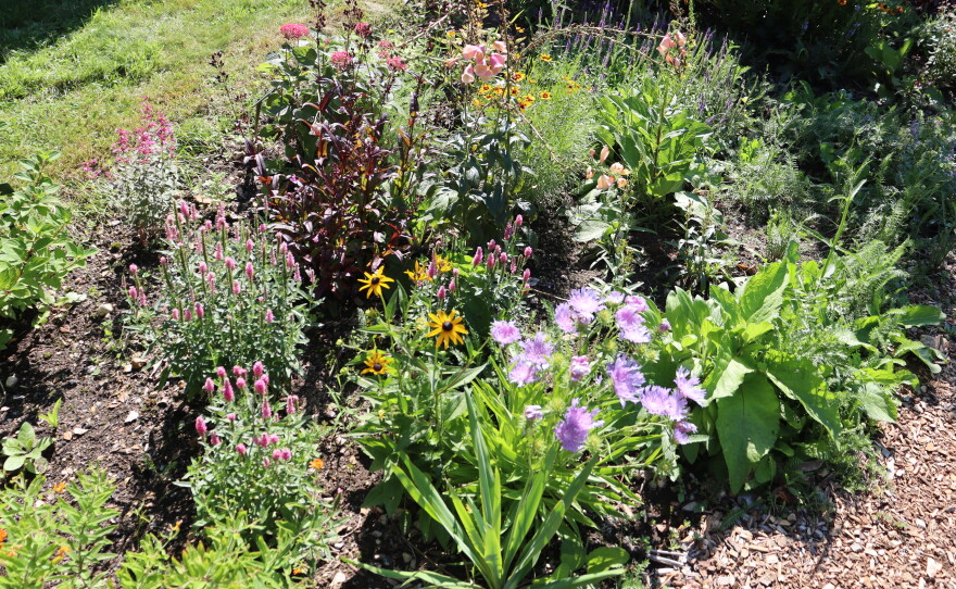 Photos of the home garden of CAI's The Garden Lady, C.L. Fornari 