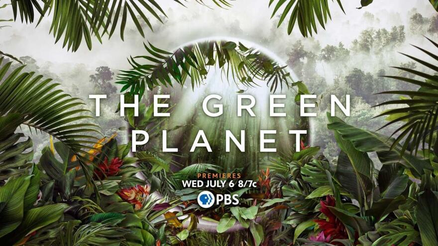 The Green Planet: Premieres WED JULY 8/7c on PBS