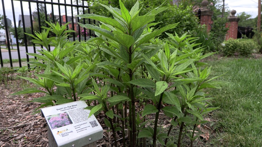 Signs from the Audubon Society share details about "bird-friendly blooms."