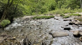 Jones Cove Branch runs into Richland Creek which runs into the Pigeon River.