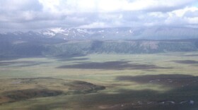 Joshua Green River Valley in Izembek Wilderness.