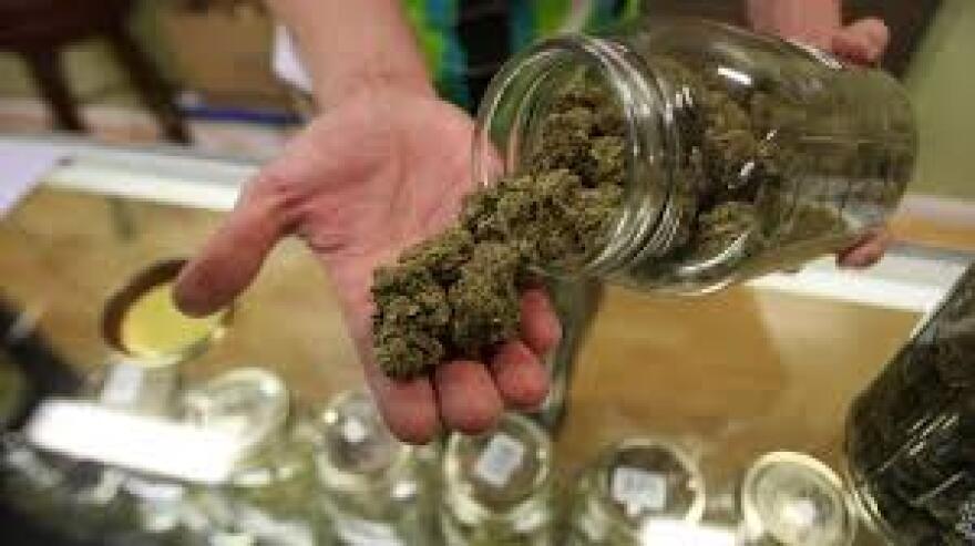 Marijuana is dispensed from a jar