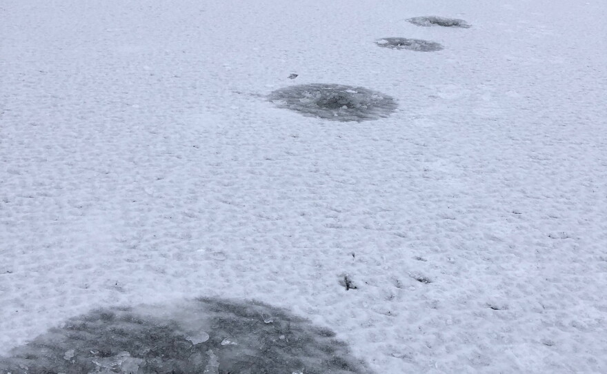 An ice pick easily pokes through the thin ice on the Kuskokwim River in front of Bethel on November 15, 2018.