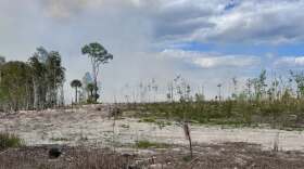 Drought conditions seen during the Railroad Fire in mid-2026 in Northeast Florida.