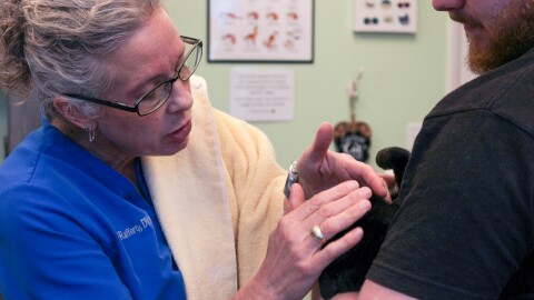 Dr. Christy Rafferty examines Hilde, a 7-year-old cat, while her owner Matthew Eimer holds her. Rafferty runs her clinic, Wichita Pet Wellness, with Fear Free techniques. She says smaller needs help give quick shots and treats and calming blankets help put anxious pets at ease.