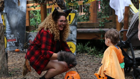 A student dressed as a werewolf hands out candy to a toddler trick-or-treater in the Monster Mash zone at the Santa Fe College Teaching Zoo's Boo at the Zoo event while laughing about their matching baskets on Wednesday, Oct. 28, 2026. (David Caine/WUFT News)