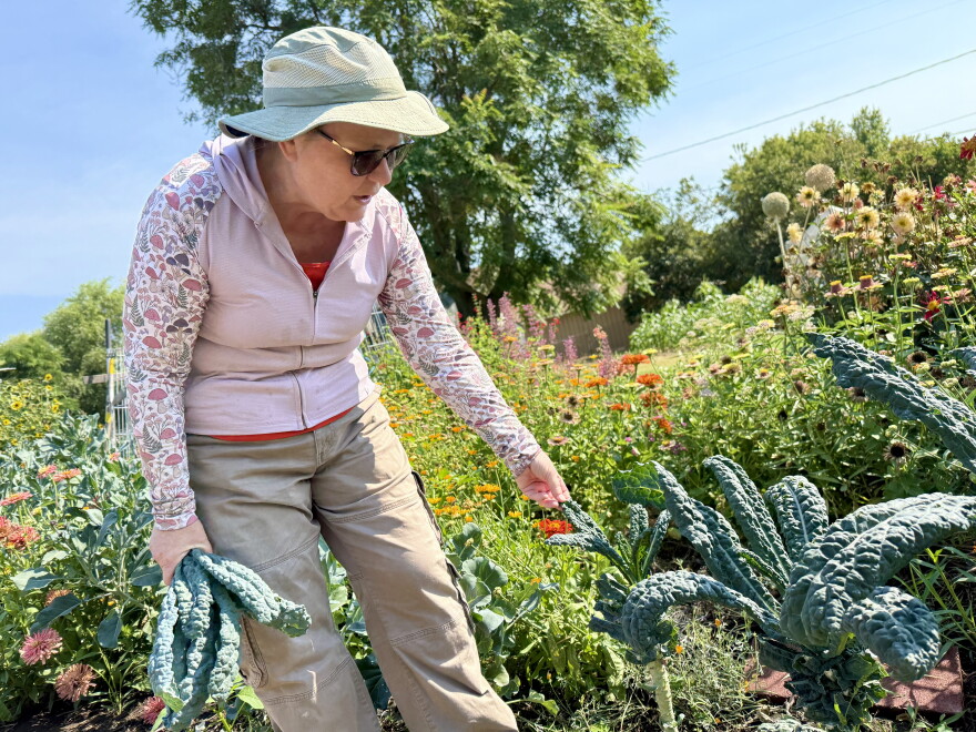 A woman named Sarah Hurlburt shows off the kale growing in her backyard garden in Walla Walla County.