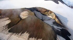 Takawangha Volcano is on uninhabited Tanaga Island in the western Aleutians. (Photo: AVO / U.S. Geological Survey)