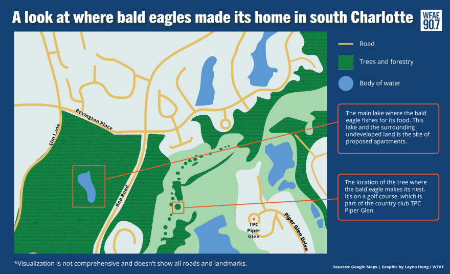 bald-eaglre.png
