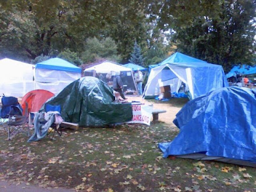 Occupy Albany, Academy Park 2011