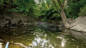 Coldwater Creek runs by the St. Louis airport and through Florissant and Hazelwood before flowing into the Missouri River. The creek is contaminated by nuclear waste left over from the effort to build the first atomic bomb during World War II.