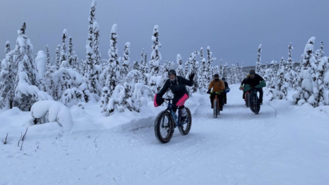 Members of the Fairbanks Cycle Club pedal their fat-tire bikes along a Fairbanks-area trail during a recent ride.