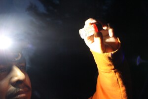 Long nights in waist-deep water: What it takes to reintroduce whitefish to Michigan’s rivers