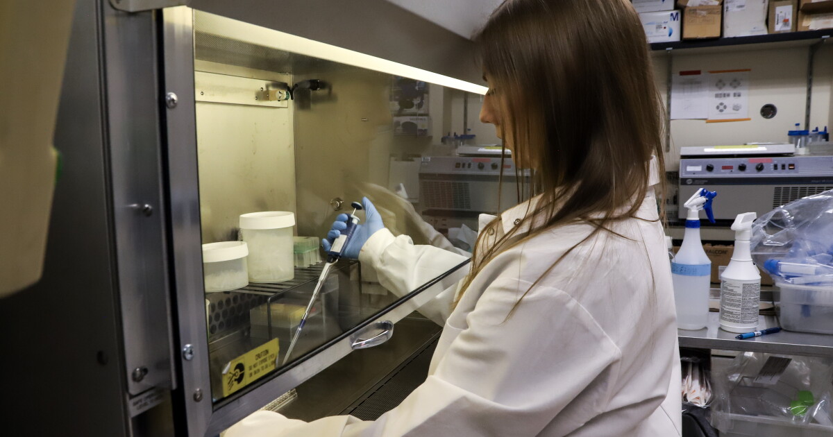 What does UW's disappearing research money mean for Seattle's innovation economy?