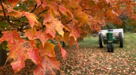 A tractor sits next to a tree in a farm field in Delaware County, Ohio.