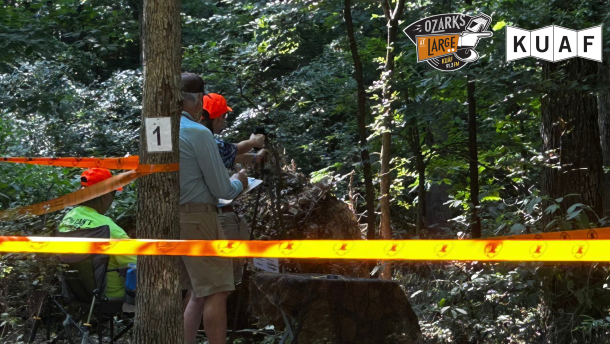A competitor takes aim during the NRA YHEC shoot-don't-shoot challenge