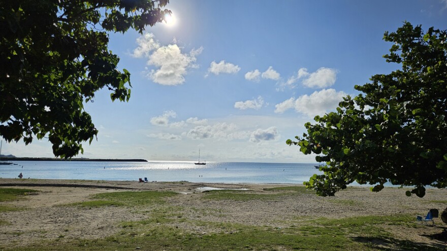 Pictured: Brewer's Bay beach tested unsafe this week for swimming or fishing.