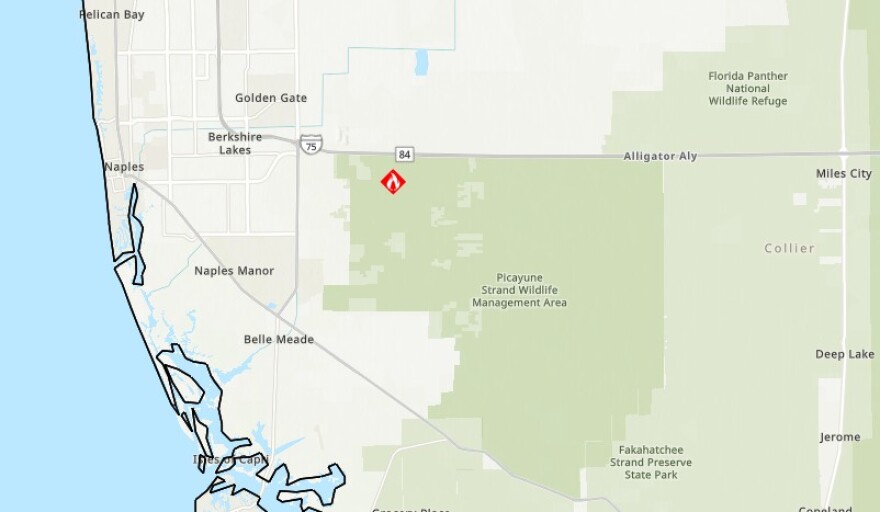 Wildfire zone in Picayune Strand Wildlife Management Area.