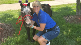 Heather Bowman, author of "There's a Horse in my House" stands next to Fabio the horse.