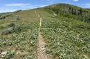 The Great Western Trail traverses the western ridge of the 910 Cattle Ranch on the Summit-Salt Lake county line