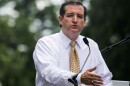 Republican Sen. Ted Cruz of Texas speaks about immigration during a march near Capitol Hill in July.