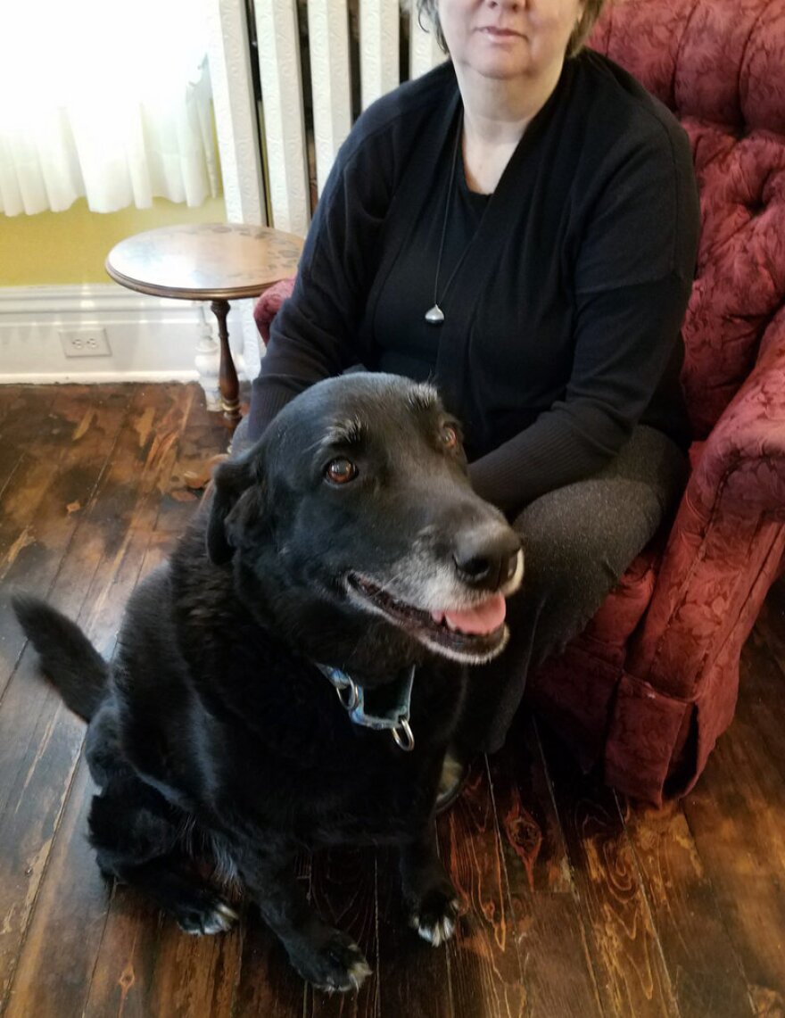 After 10 years, a black Lab mix named Abby was reunited with her owner, Debra Suierveld.