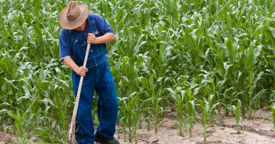 Iowa is home to between 50,000 and 52,000 undocumented immigrants, according to the American Immigration Council. Iowa's total population is just over 3.2 million. (Adobe Stock)