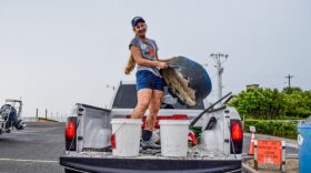 In 2021, International coastal Cleanup volunteers removed bulky pieces of trash from Cedar Key's shorelines. (Photo courtesy of UF/IFAS)