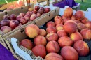 White and yellow nectarines from Blossom Bluff Orchards for sale at the 18th annual Organic Stone Fruit Jubilee in Kingsburg, June 27.