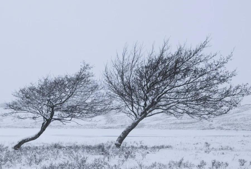 Outdoors Winter Wind Interlochen Public Radio