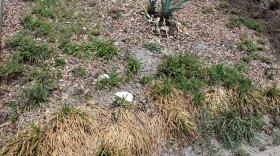 The National Weather Service says the ongoing drought will only exacerbate critical fire weather conditions Tuesday.