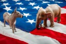 Donkey and elephant are depicted as Democrats vs Republicans 