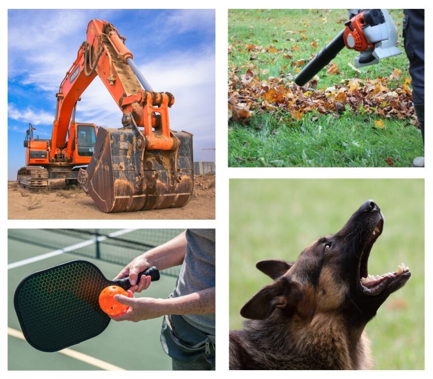 Images of: large buldozer, leaf blower, barking dog, pickleball paddle and ball