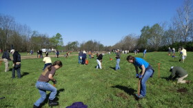 The nonprofit that donated 10,000 tree seedlings for Saturday's Reforest the Bluegrass in Lexington plans to plant a million trees from Tennessee to Pennsylvania this year and donate 30 million for a worldwide tree planting campaign by 2031.