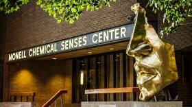 Exterior of the Monell Chemical Senses Center, dedicated to research on the senses of taste and smell. Sculpture by Arlene Love. Photo provided by Monell Center.