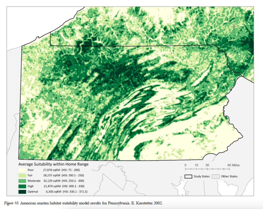 A map of Pennsylvania with dark green primarily in the north and northwestern region, showing habitat suitability for the American marten.