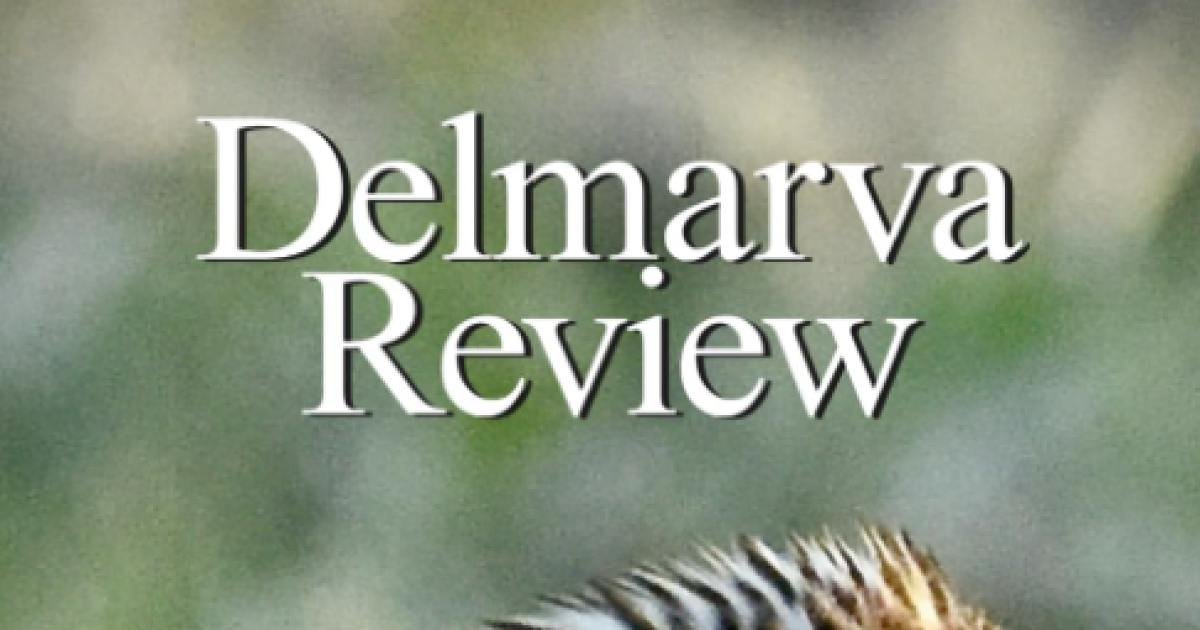 Delmarva Today 11524 16th Edition of Delmarva Review