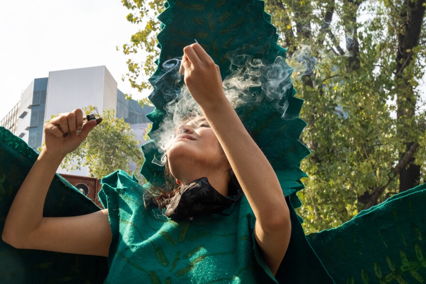 A woman wearing a cannabis plant costume at the rally in front of the Mexican Senate.