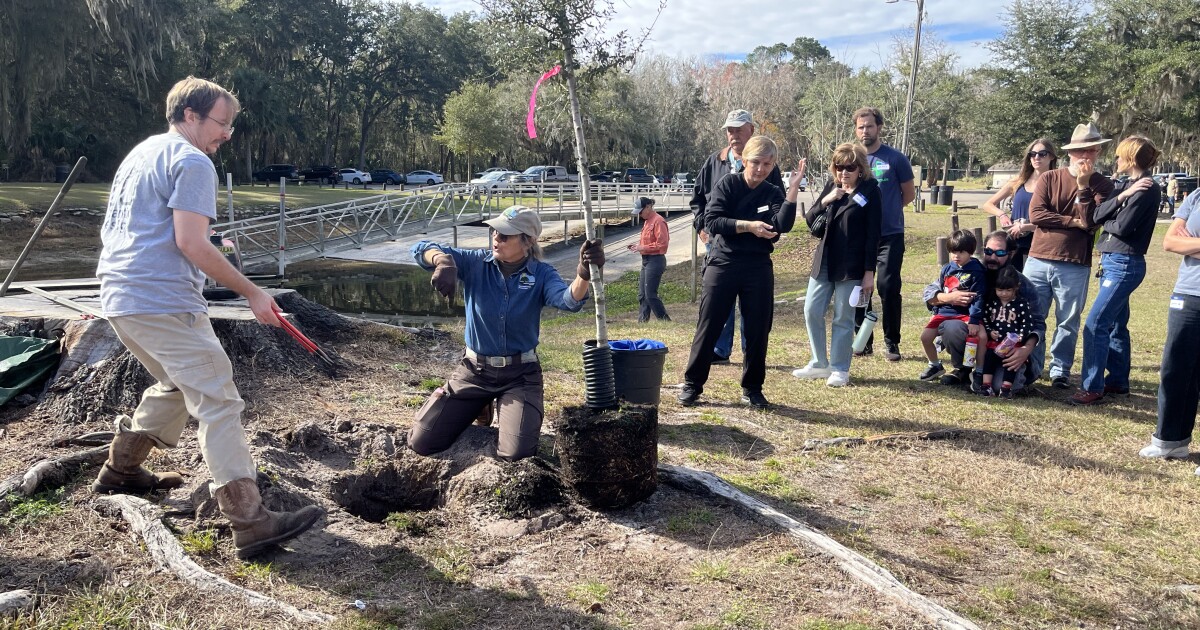 Alachua County hosts Florida Arbor Day celebration
