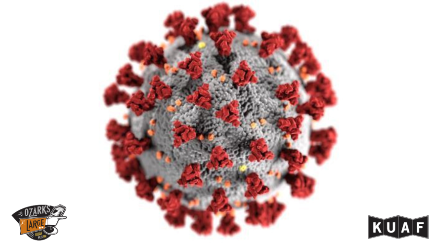 A novel coronavirus, named Severe Acute Respiratory Syndrome coronavirus 2 (SARS-CoV-2), was identified as the cause of an outbreak of respiratory illness first detected in Wuhan, China in 2019.