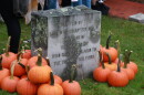 Pumpkins gathered around a stone dedication in Milford town square.