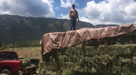 Loading up a customer's trailer at Colorado Horse Hay